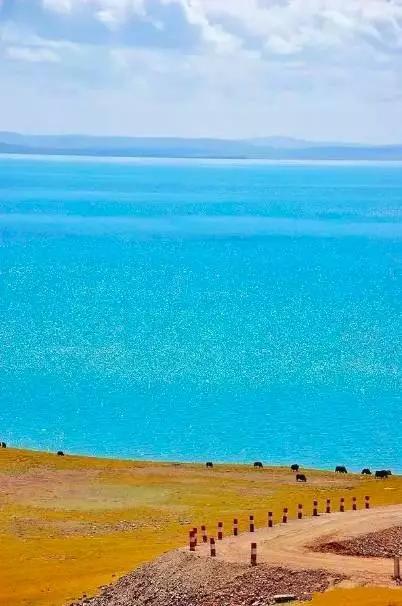 青海小巷里的味蕾秘境，视觉与味觉的双重探秘之旅