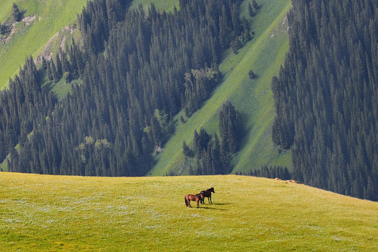 新疆初探，神秘新疆之旅初学者指南